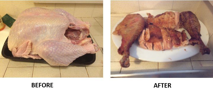 turkey-pic