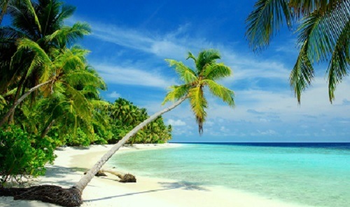 beaches-island-tropics-rest-relax-sea-shore-paradise-tropical-vacation-water-summer-sands-palms-beach-sky-ocean-coast-beautiful-sunny-wallpaper-nature